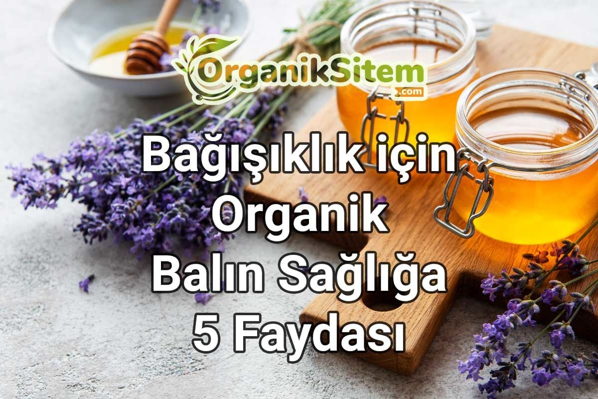 Bağışıklık için Organik Balın Sağlığa 5 Faydası