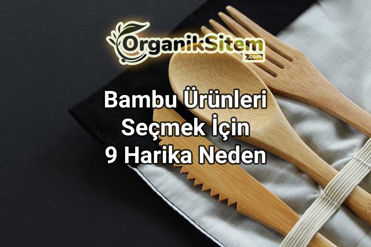 Bambu Ürünleri Seçmek İçin 9 Harika Neden