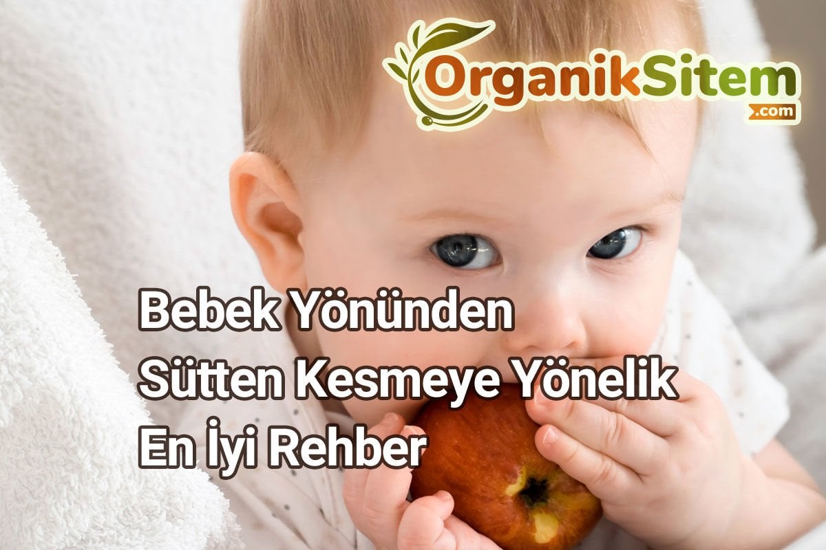 Bebek Yönünden Sütten Kesmeye Yönelik En İyi Rehber