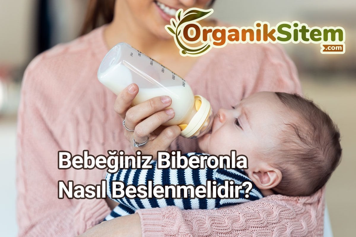 Bebeğiniz Biberonla Nasıl Beslenmelidir?