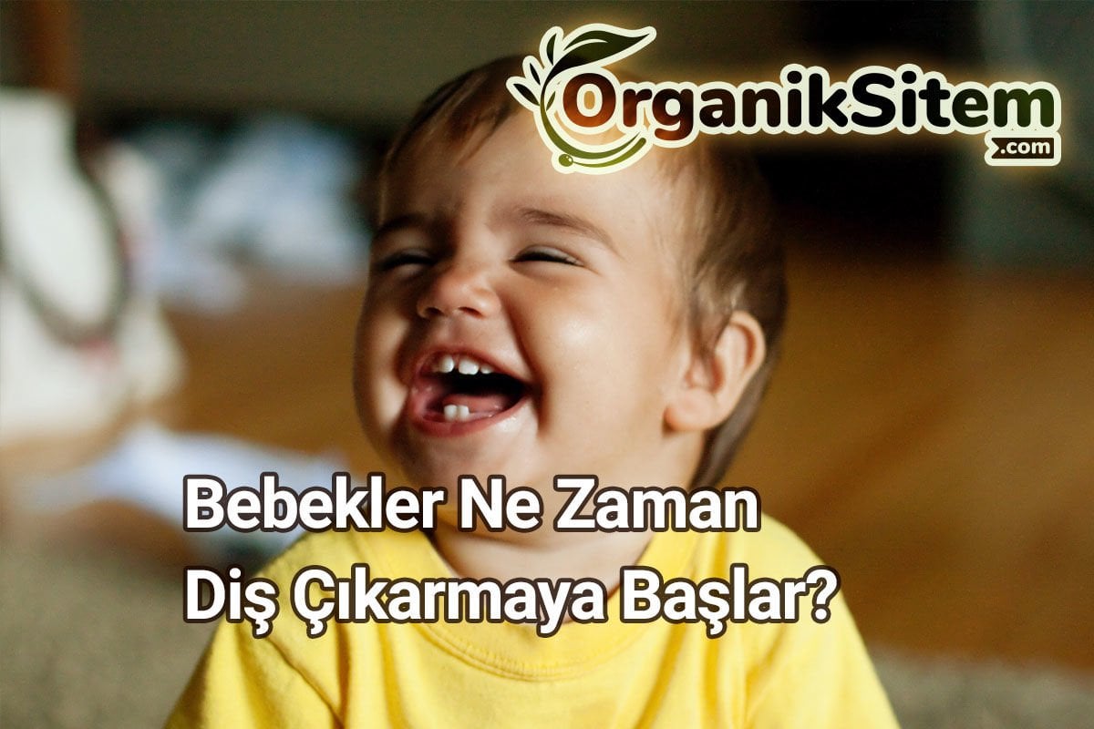 Bebekler Ne Zaman Diş Çıkarmaya Başlar?