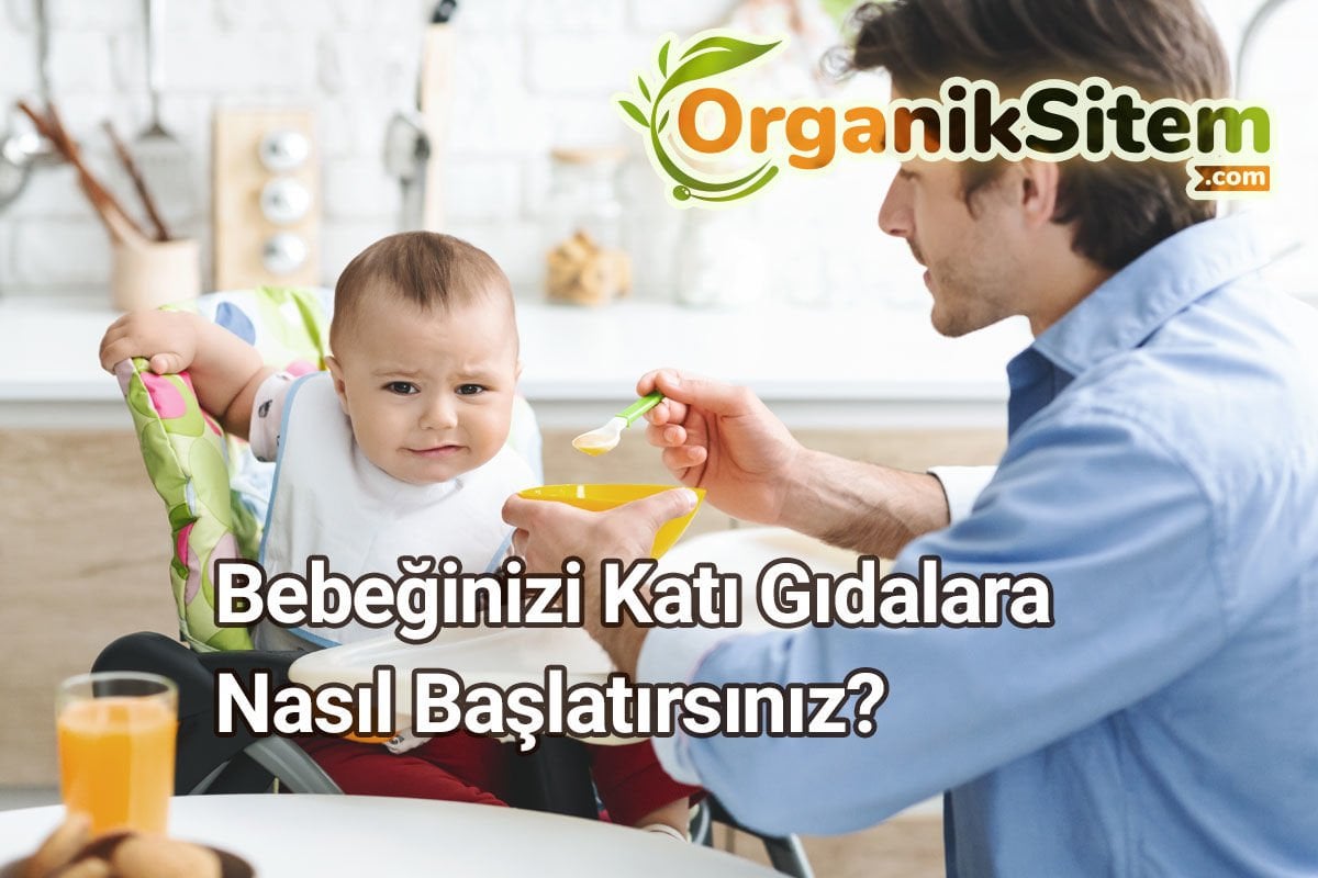 Bebeğinizi Katı Gıdalara Nasıl Başlatırsınız?