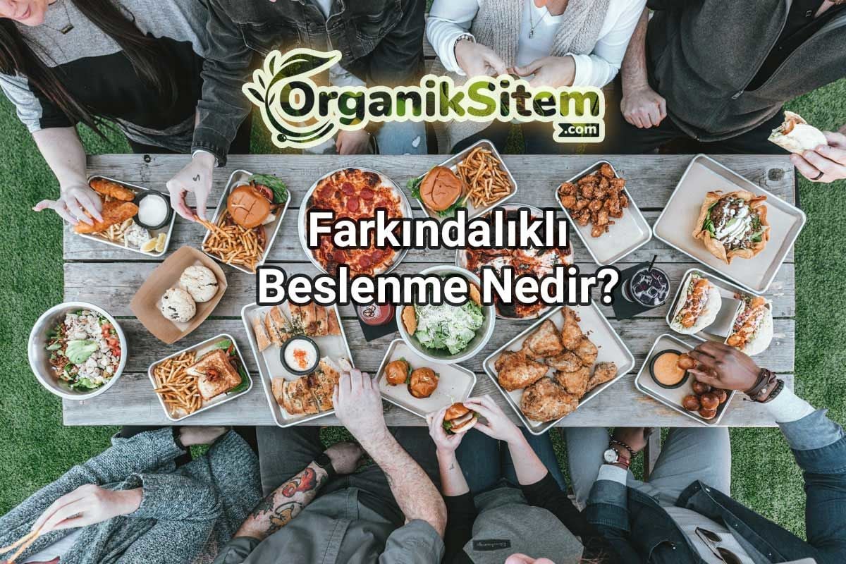 Farkındalıklı Beslenme Nedir?