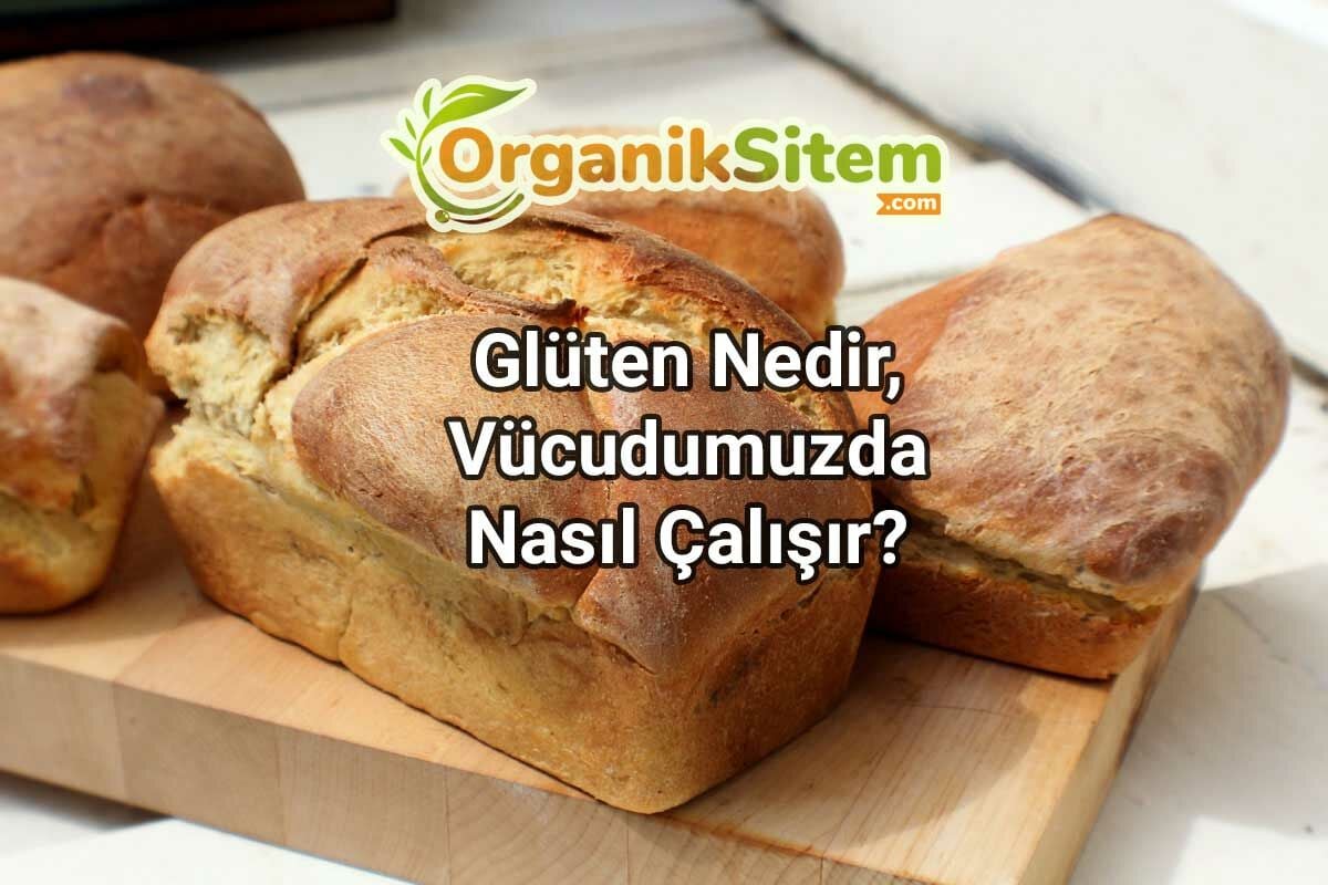 Glüten Nedir, Vücudumuzda Nasıl Çalışır?