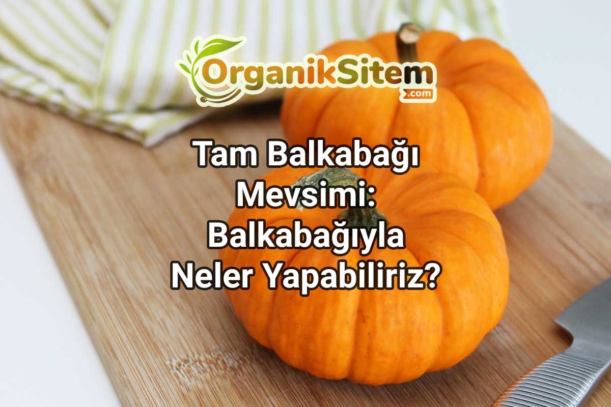 Tam Balkabağı Mevsimi: Balkabağıyla Neler Yapabiliriz?