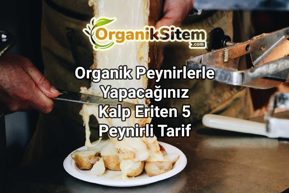 Organik Peynirlerle Yapacağınız Kalp Eriten 5 Peynirli Tarif