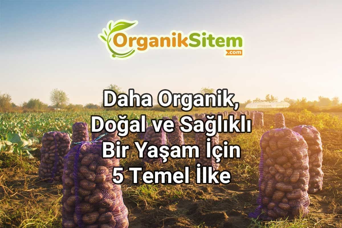 Daha Organik, Doğal ve Sağlıklı Bir Yaşam İçin 5 Temel İlke