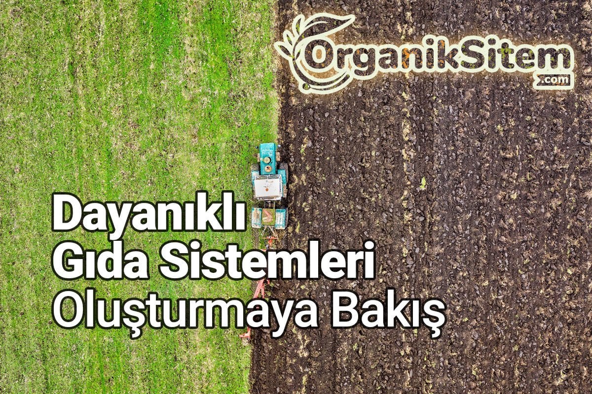 Dayanıklı Gıda Sistemleri Oluşturmaya Bakış