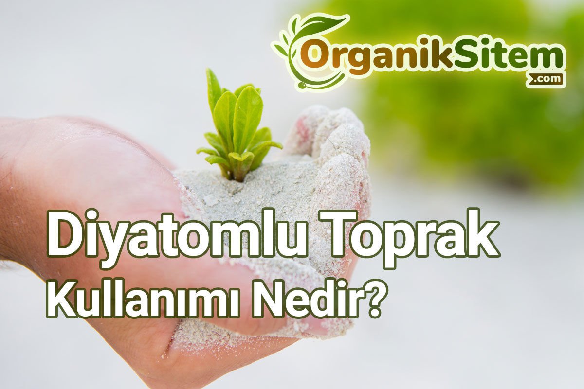 Diyatomlu Toprak Kullanımı Nedir?