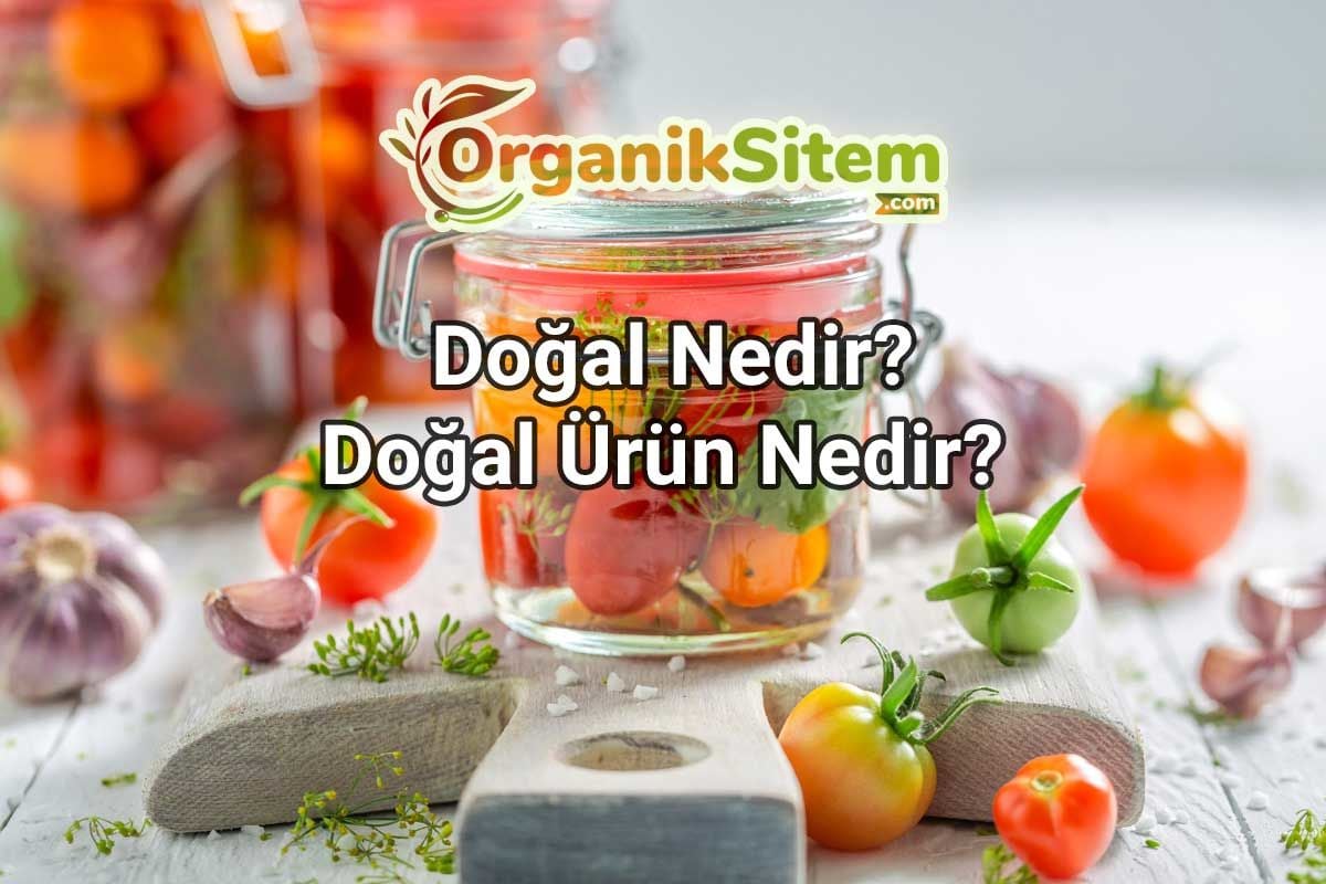 Doğal Nedir? Doğal Ürün Nedir?