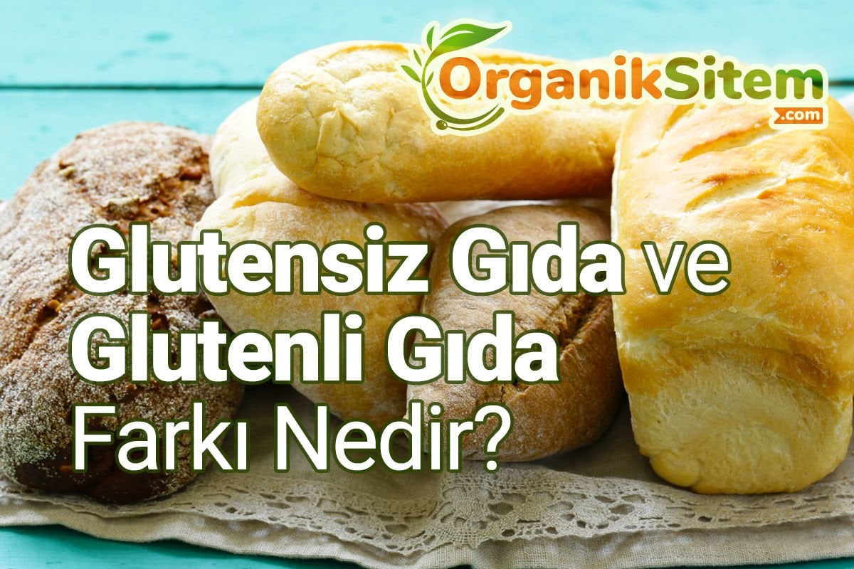 Glutensiz Gıda ve Glutenli Gıda Farkı Nedir?
