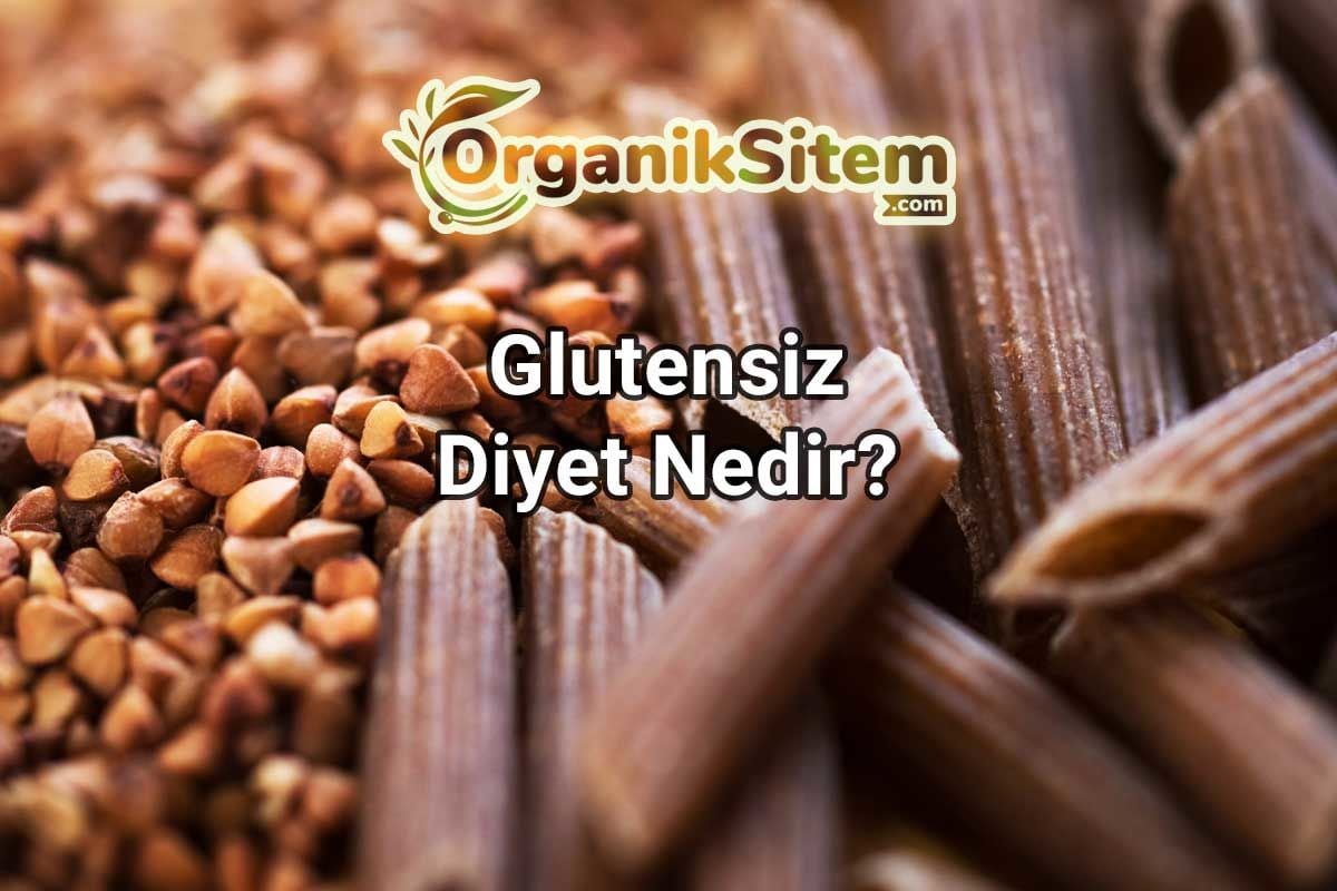 Glutensiz Diyet Nedir?