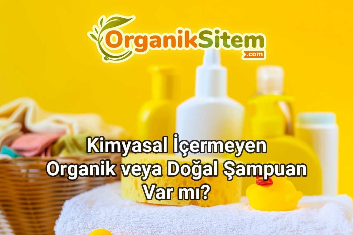 Kimyasal İçermeyen Organik veya Doğal Şampuan Var mı?