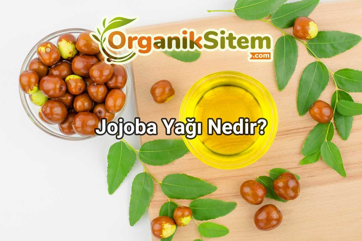 Jojoba Yağı Nedir?