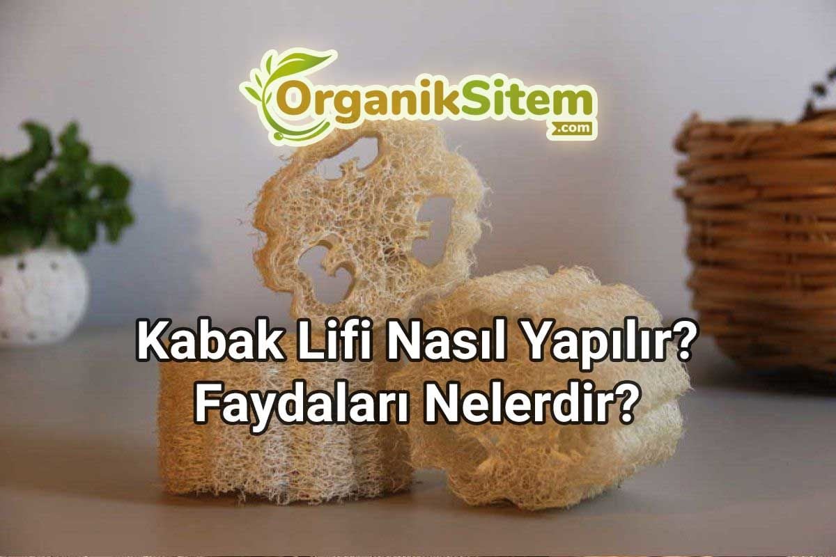 Cildi Ölü Derilerden Arındıran Kabak Lifi Nasıl Yapılır? Faydaları Nelerdir?