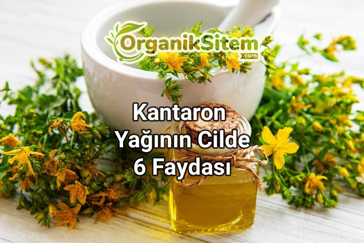 Kantaron Yağının Cilde 6 Faydası