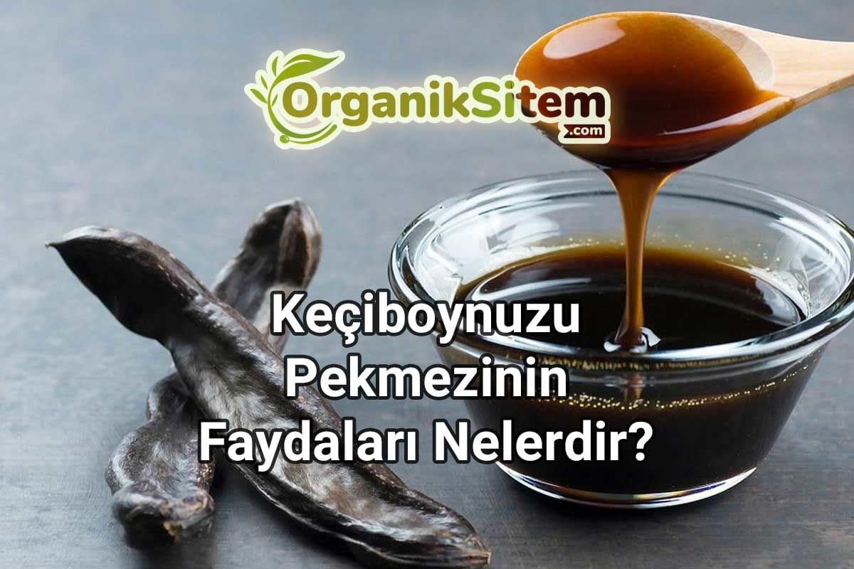 Sağlık İçin Olmazsa Olmaz Olan Keçiboynuzu Pekmezinin Faydaları Nelerdir?