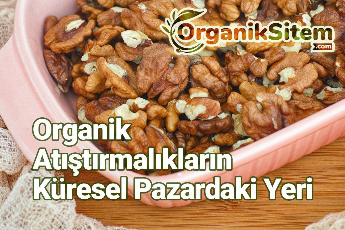 Organik Atıştırmalıkların Küresel Pazardaki Yeri