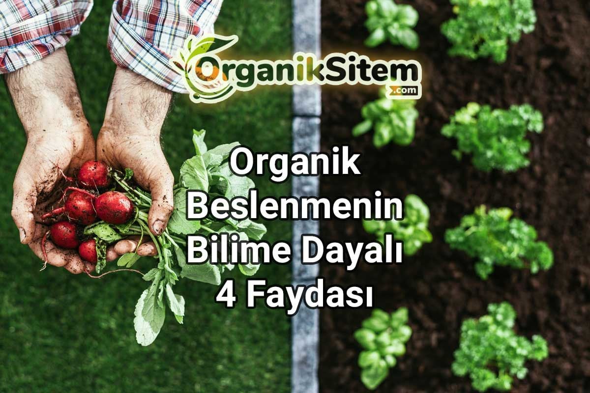 Organik Beslenmenin Bilime Dayalı 4 Faydası