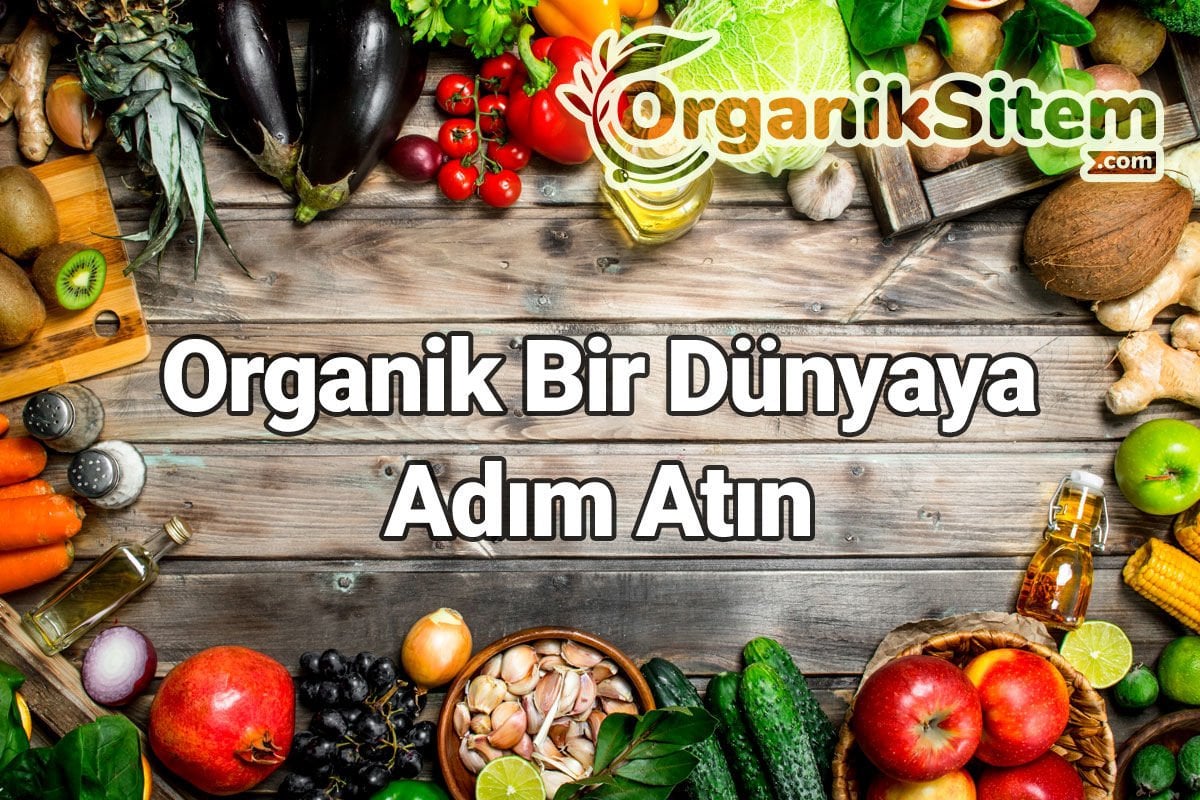 Organik Bir Dünyaya Adım Atın