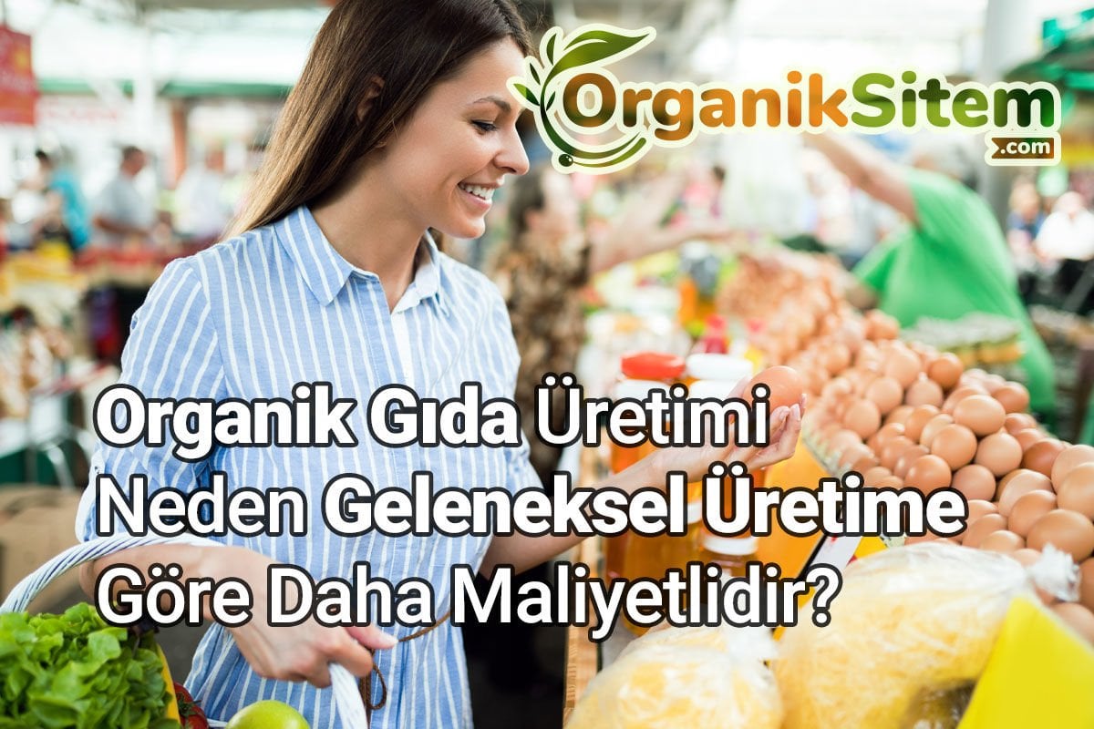 Organik Gıda Üretimi Neden Geleneksel Üretime Göre Daha Maliyetlidir?