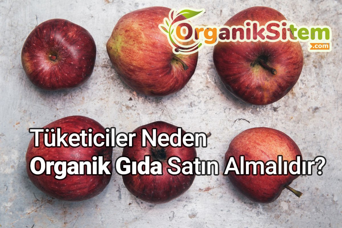 Tüketiciler Neden Organik Gıda Satın Almalıdır?