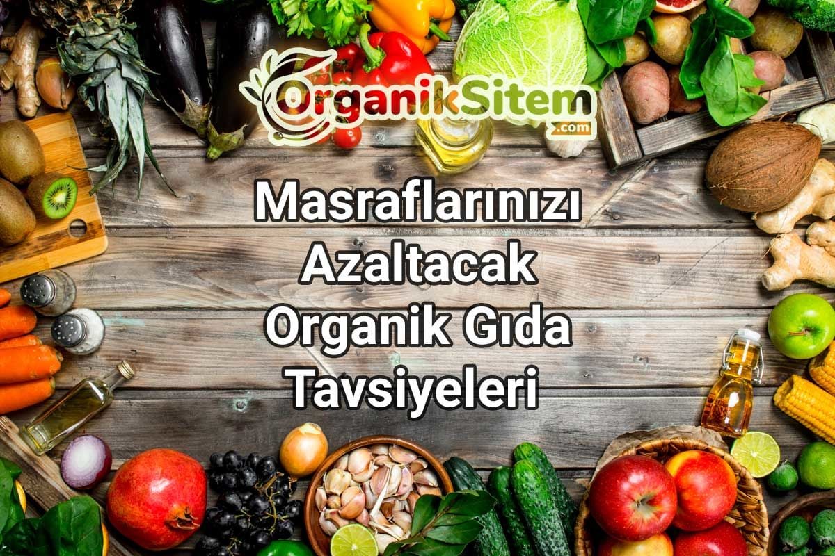 Masraflarınızı Azaltacak Organik Gıda Tavsiyeleri