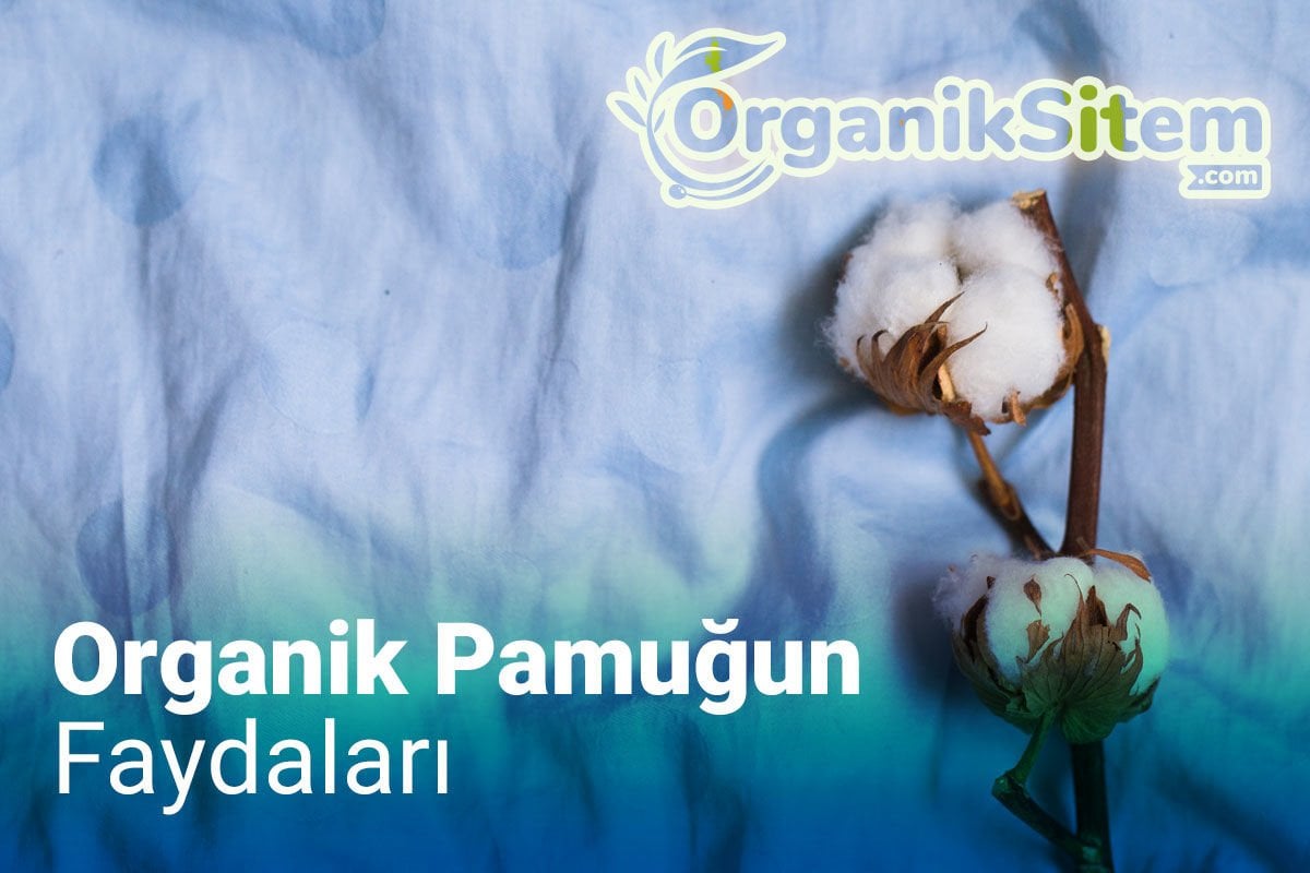 Organik Pamuğun Faydaları