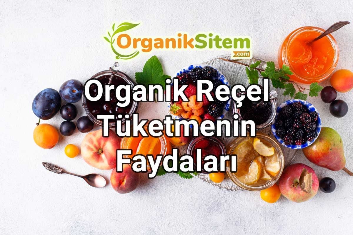Organik Reçel Tüketmenin Faydaları