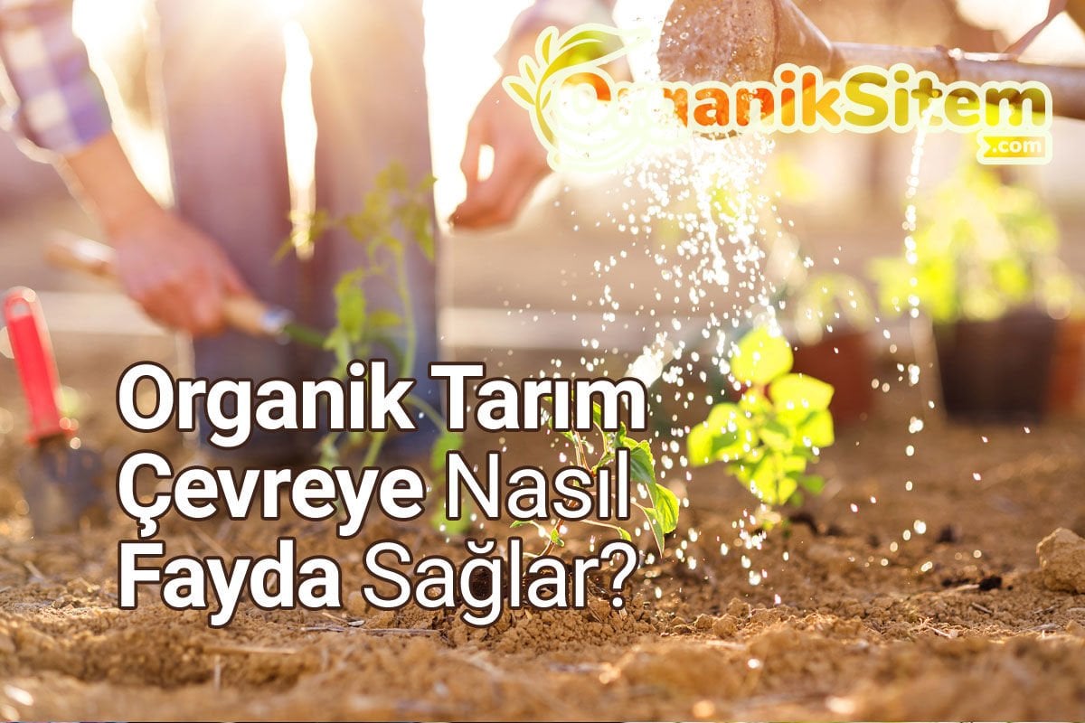 Organik Tarım Çevreye Nasıl Fayda Sağlar?