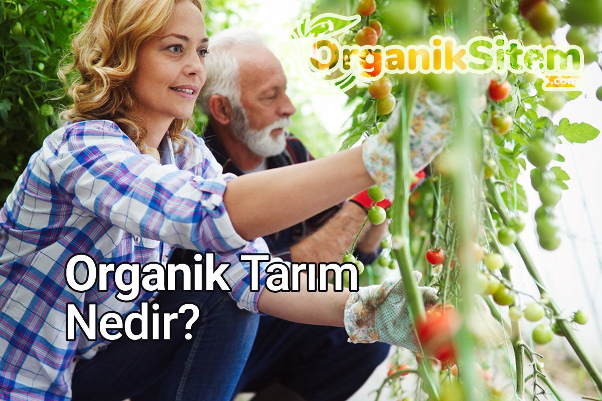 Organik Tarım Nedir?
