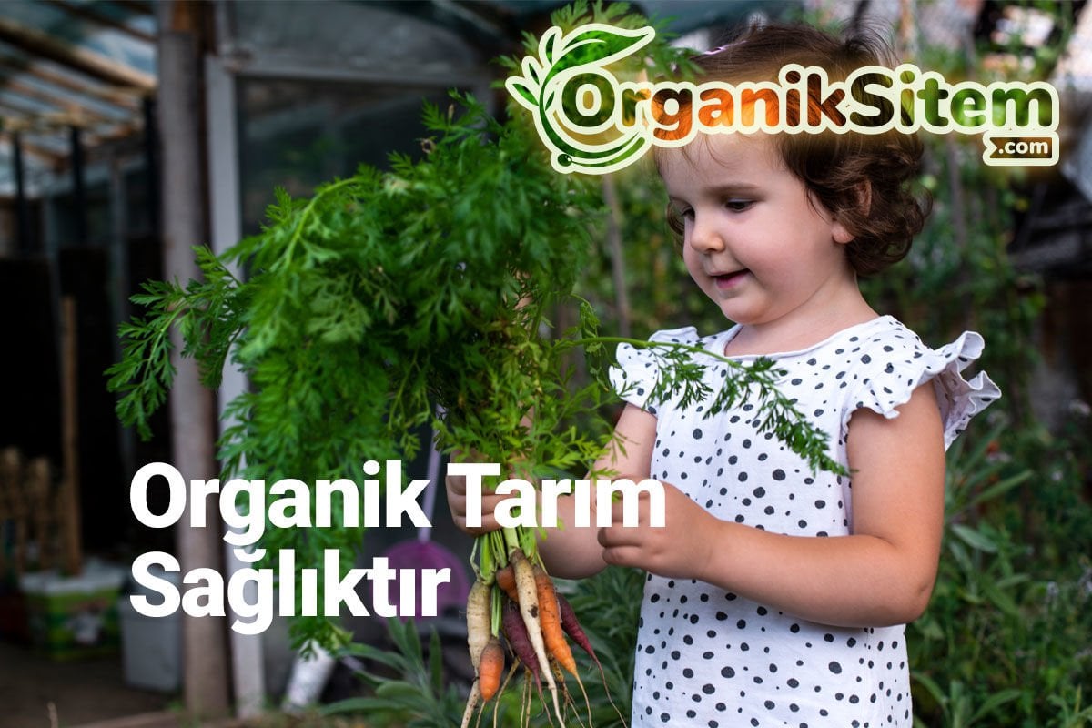 Organik Tarım Sağlıktır