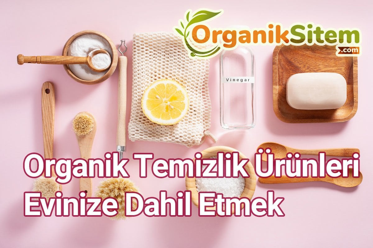 Organik Temizlik Ürünleri Evinize Dahil Etmek