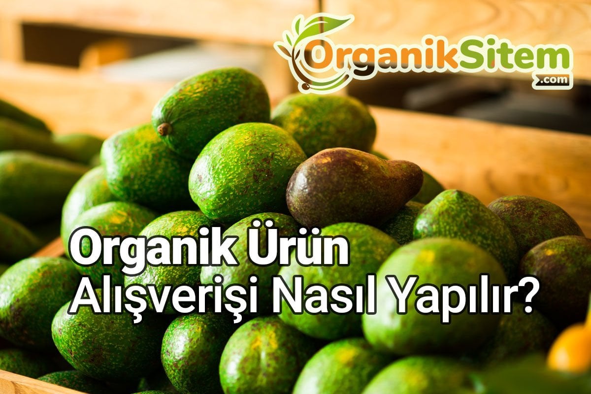 Organik Ürün Alışverişi Nasıl Yapılır?