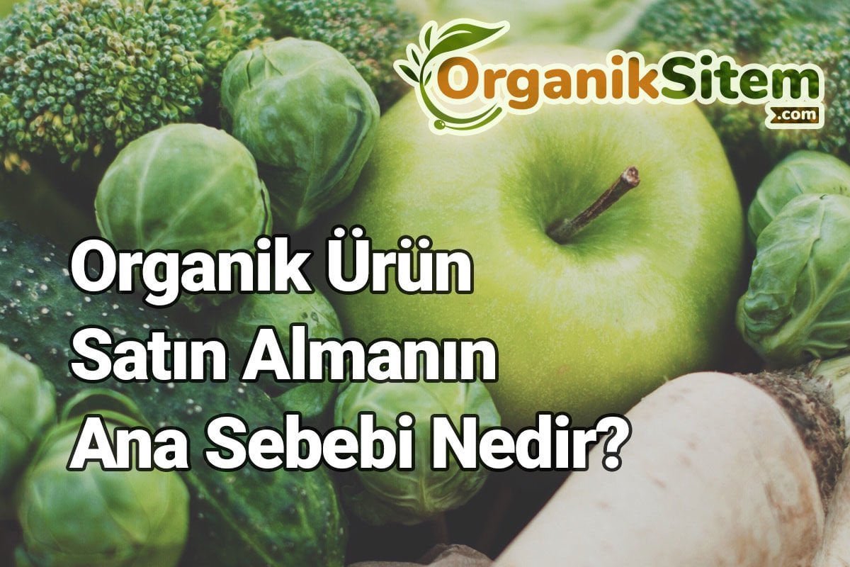 Organik Ürün Satın Almanın Ana Sebebi Nedir?