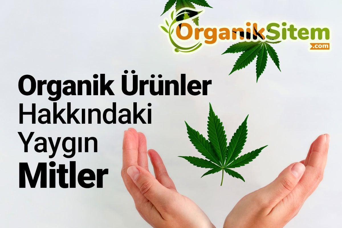 Organik Ürünler Hakkındaki Yaygın Mitler
