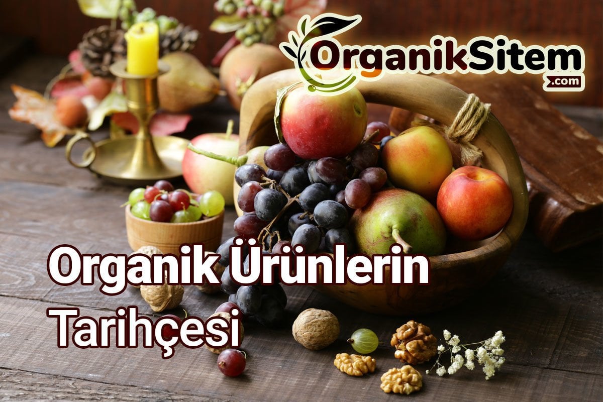 Organik Ürünlerin Tarihçesi