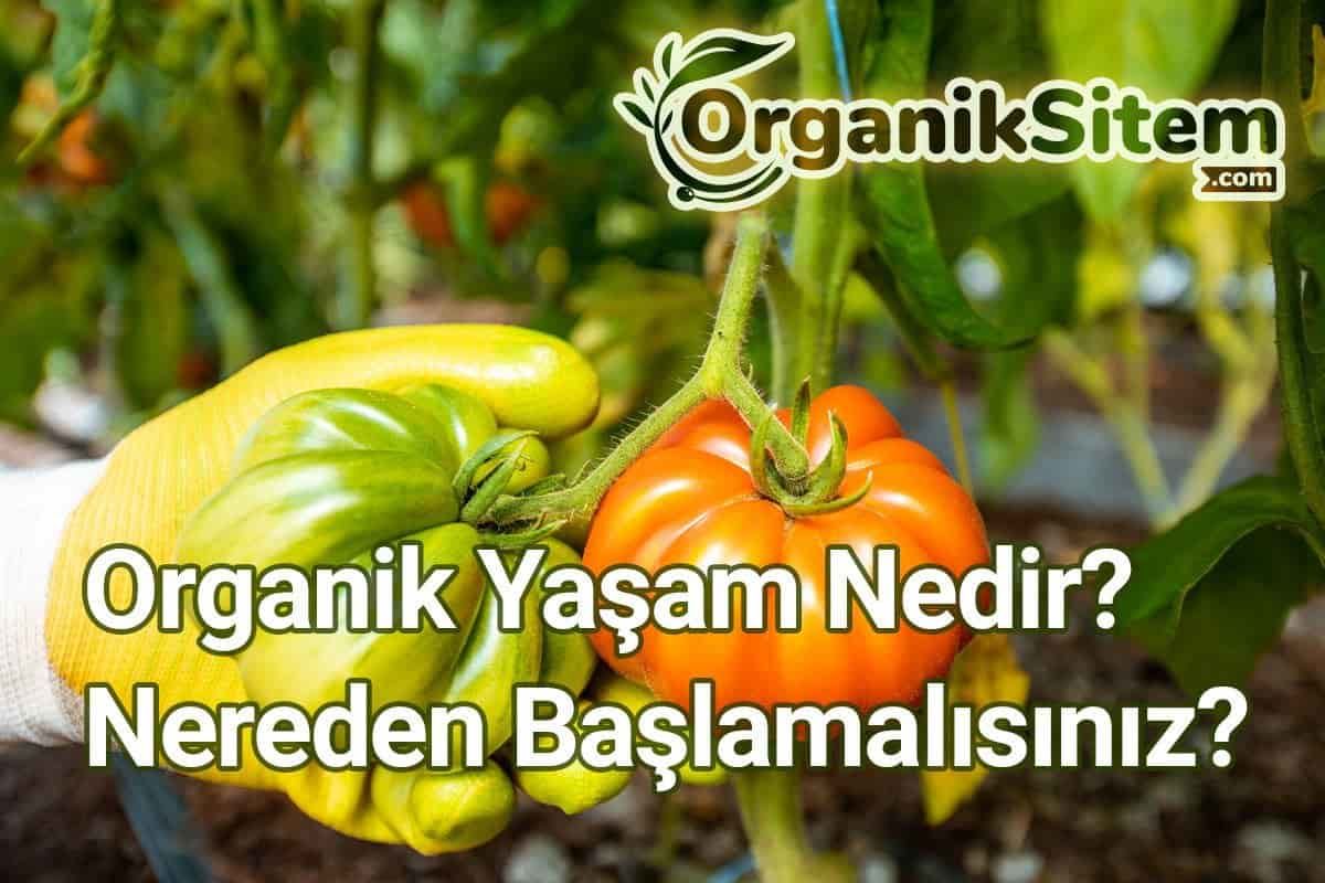 Organik Yaşam Nedir? Nereden Başlamalısınız?