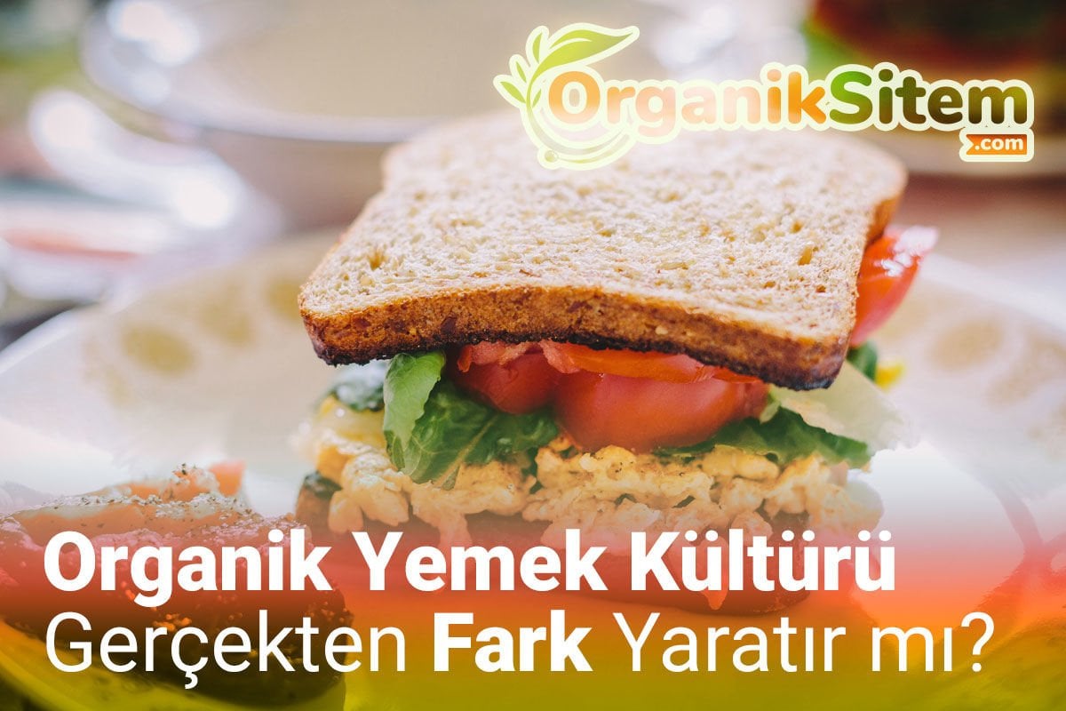 Organik Yemek Kültürü Gerçekten Fark Yaratır mı?
