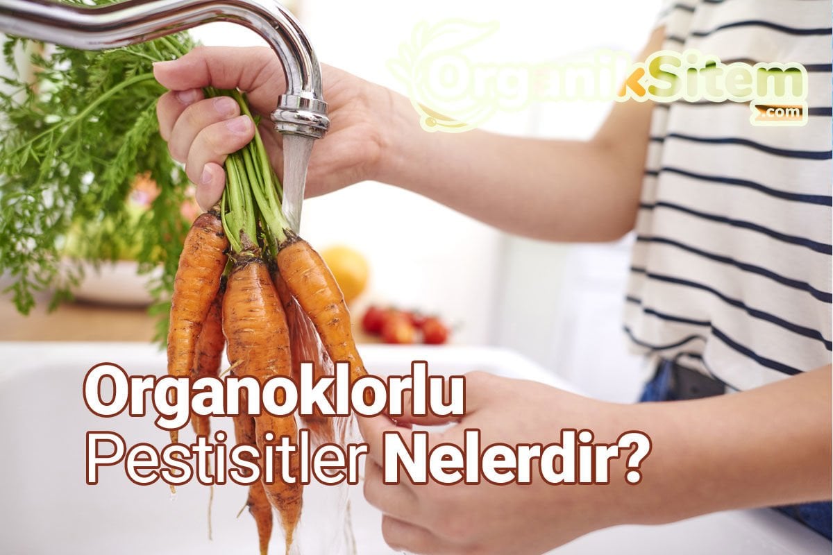 Organoklorlu Pestisitler Nelerdir?