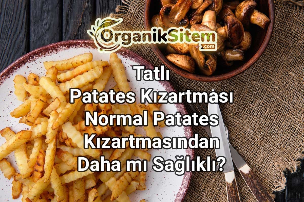 Tatlı Patates Kızartması Normal Patates Kızartmasından Daha mı Sağlıklı?
