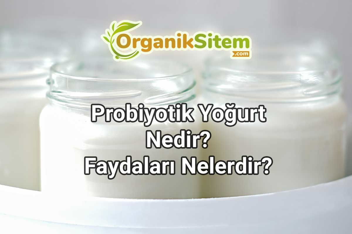 Probiyotik Yoğurt Nedir? Faydaları Nelerdir?