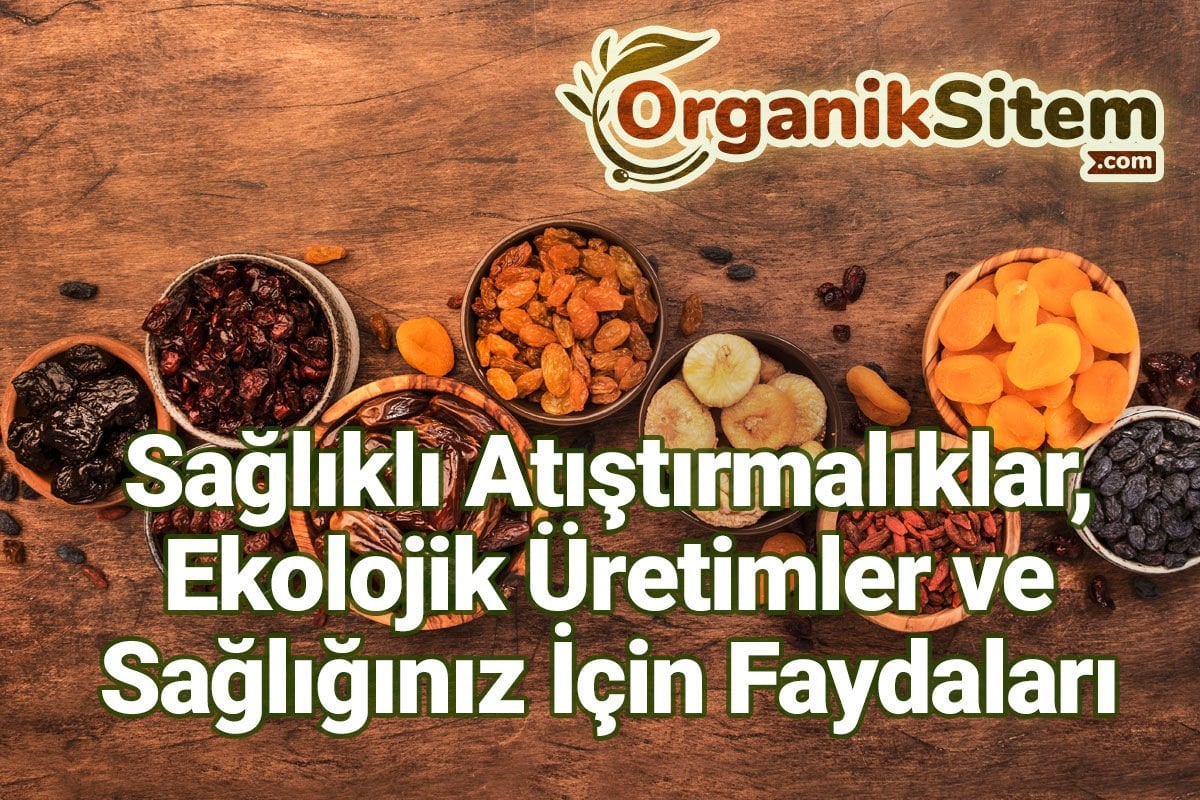 Sağlıklı Atıştırmalıklar, Ekolojik Üretimler ve Sağlığınız İçin Faydaları