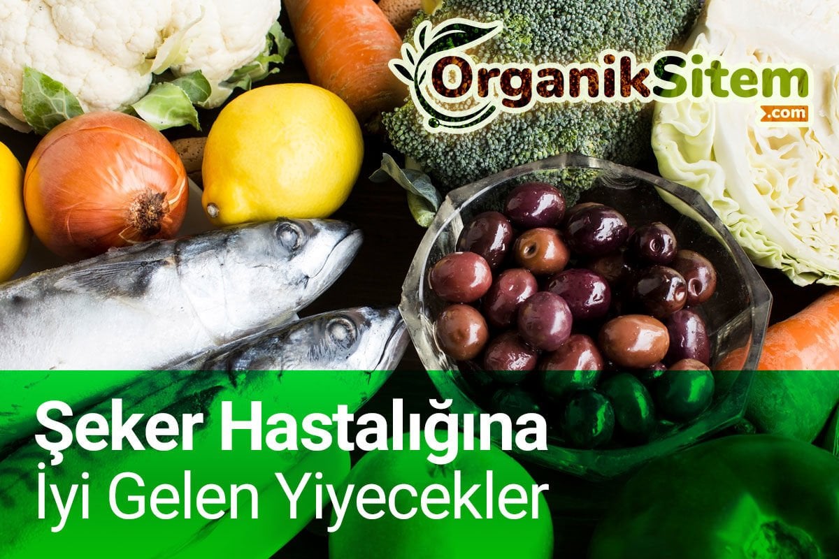 Şeker Hastalığına İyi Gelen Yiyecekler