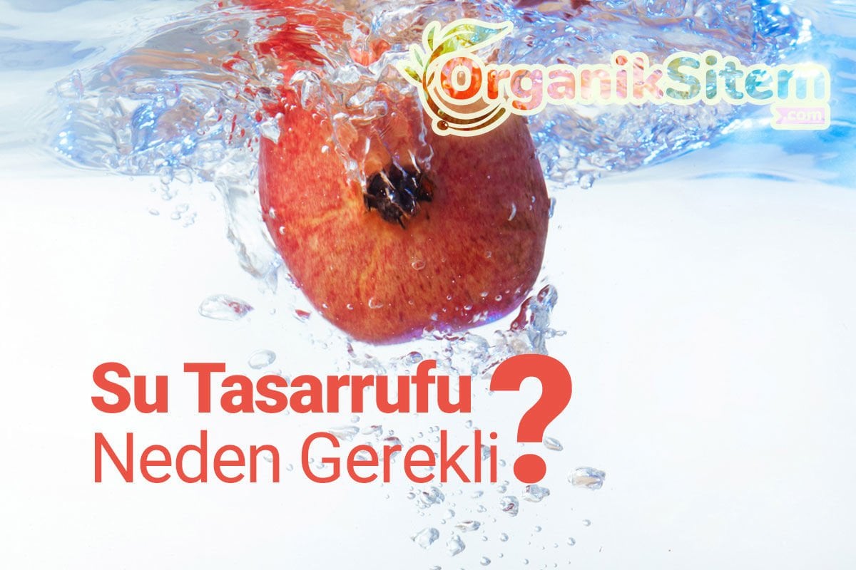 Su Tasarrufunu Neden Önemsemeliyiz?