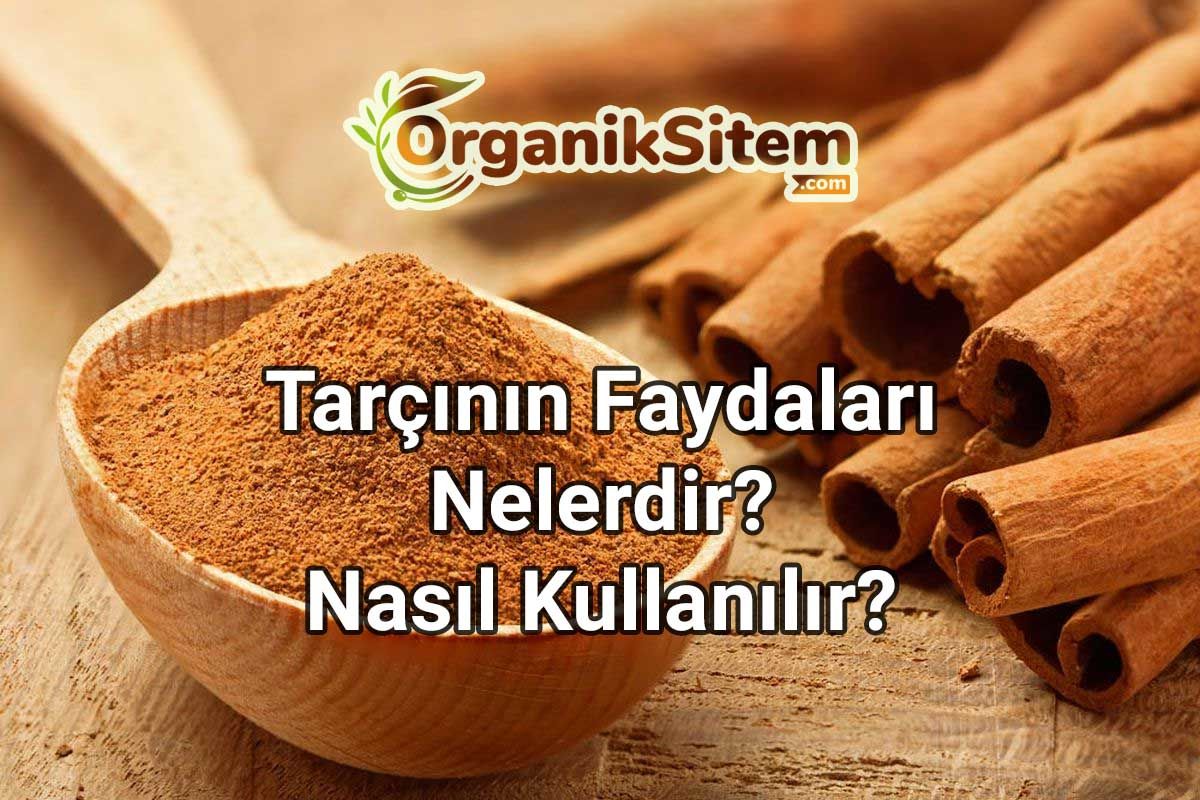 Hem Lezzetli Hem Faydalı: Tarçının Faydaları Nelerdir? Nasıl Kullanılır?