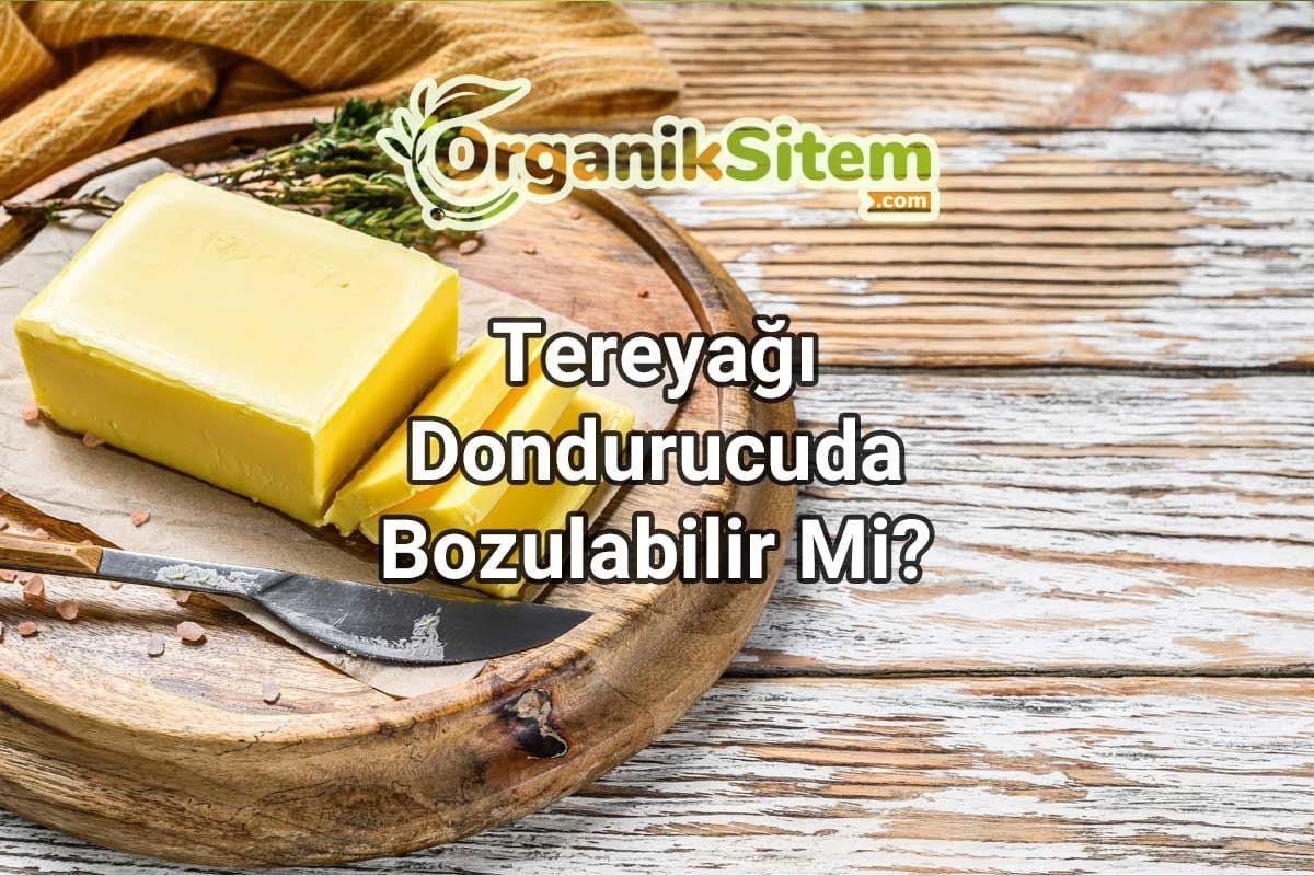 Tereyağı Dondurucuda Bozulabilir Mi?