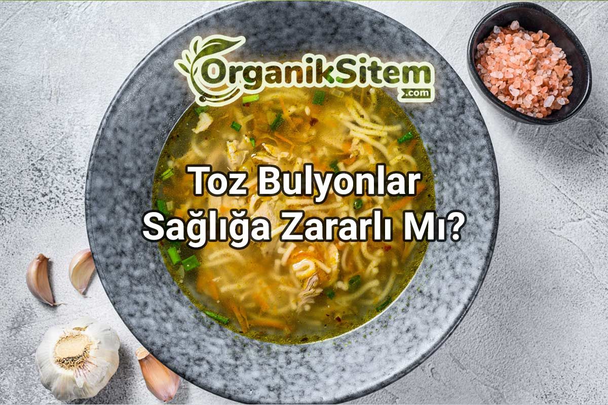 Toz Bulyonlar Sağlığa Zararlı Mı?