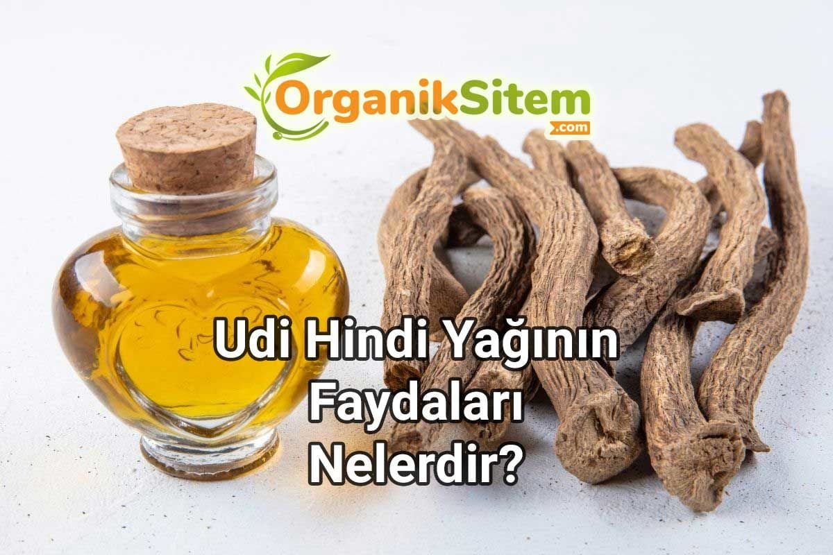 Bağışıklığı Güçlendiren Udi Hindi Yağının Faydaları Nelerdir?