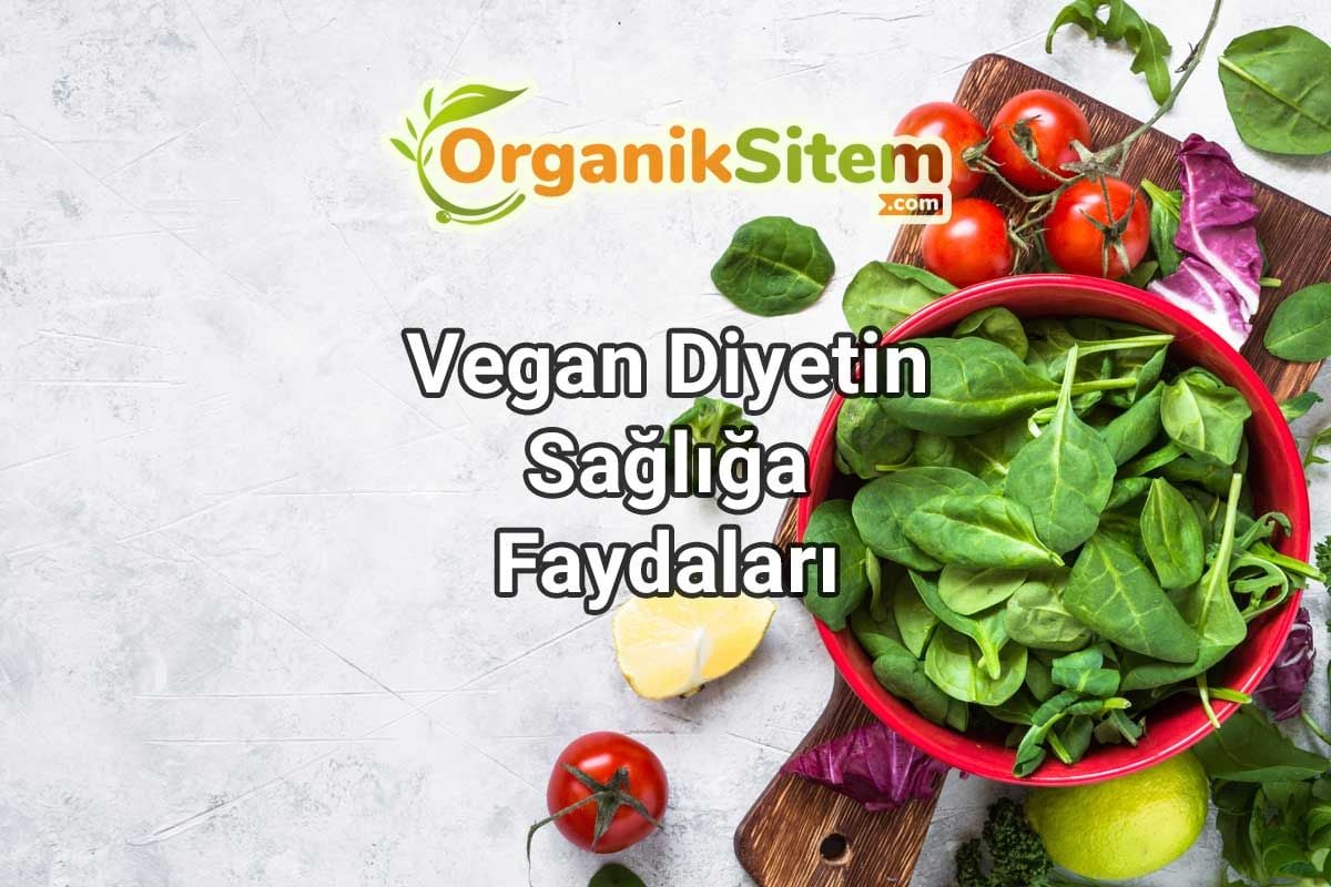 Vegan Diyetin Sağlığa Faydaları